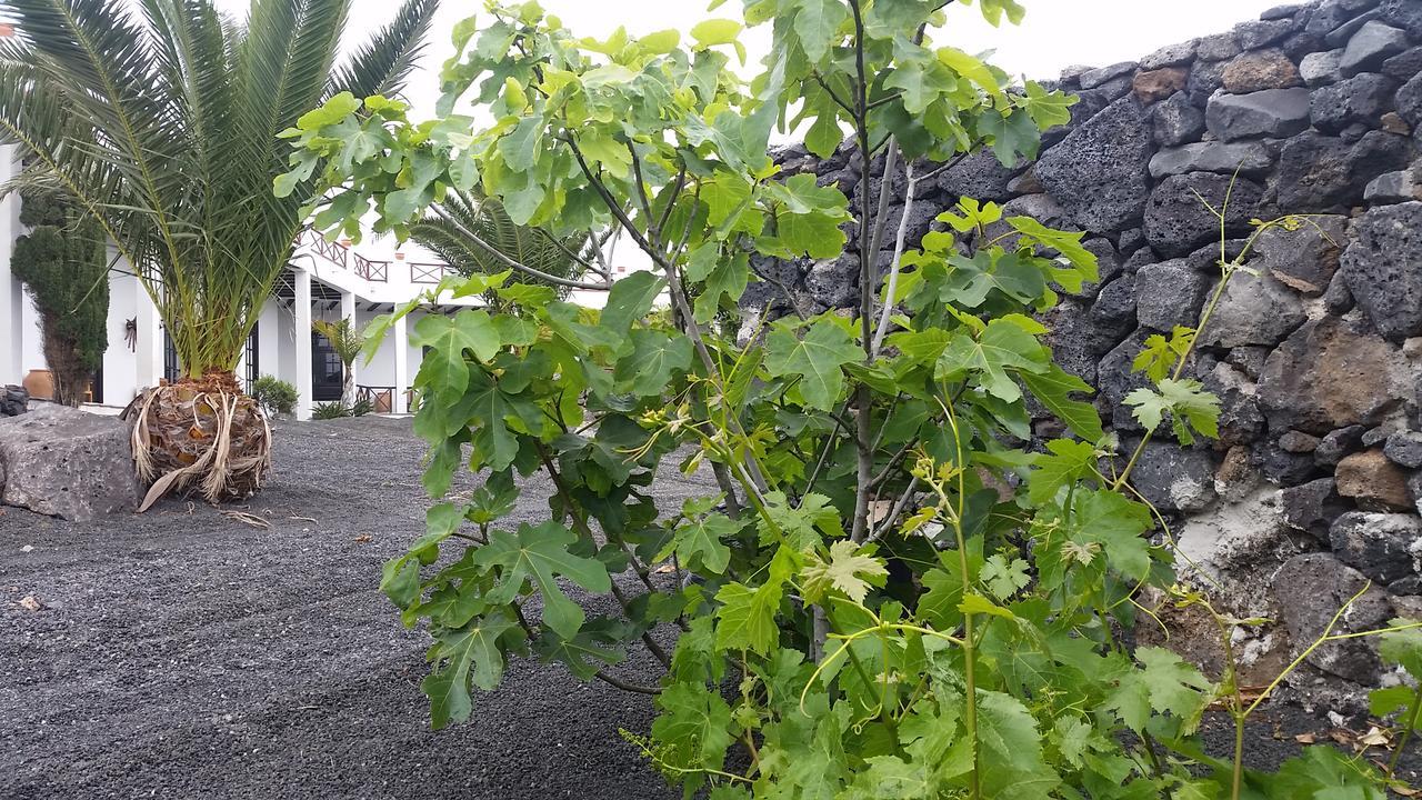 Finca Fajardo La Vegueta Eksteriør bilde